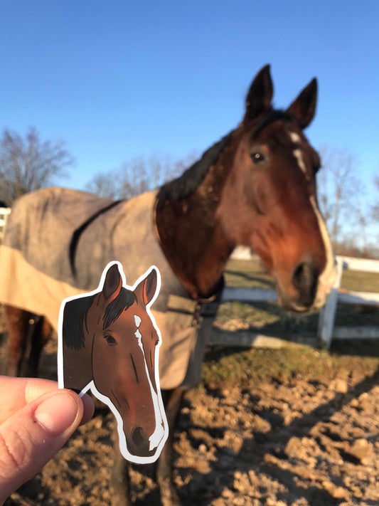 Customized Horse Stickers