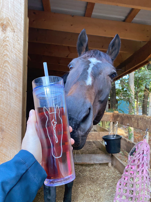 16oz Skinny Line Art Tumbler