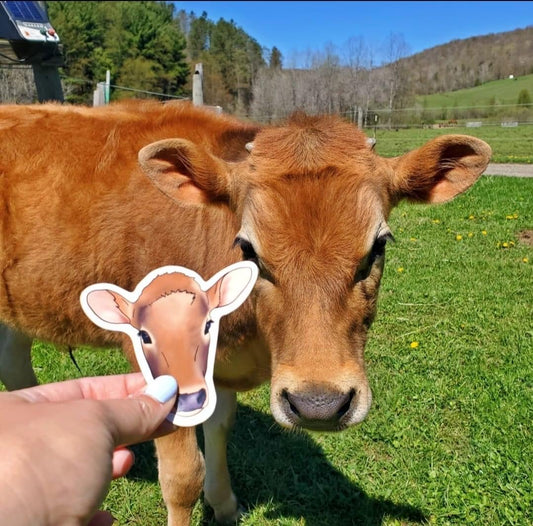 Customized Pet Stickers