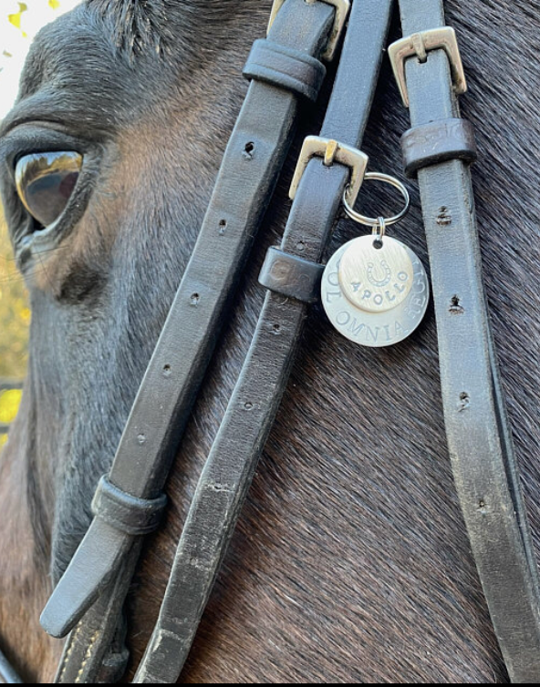 Custom Hand Stamped Bridle & Accessory Tag - Double Tag