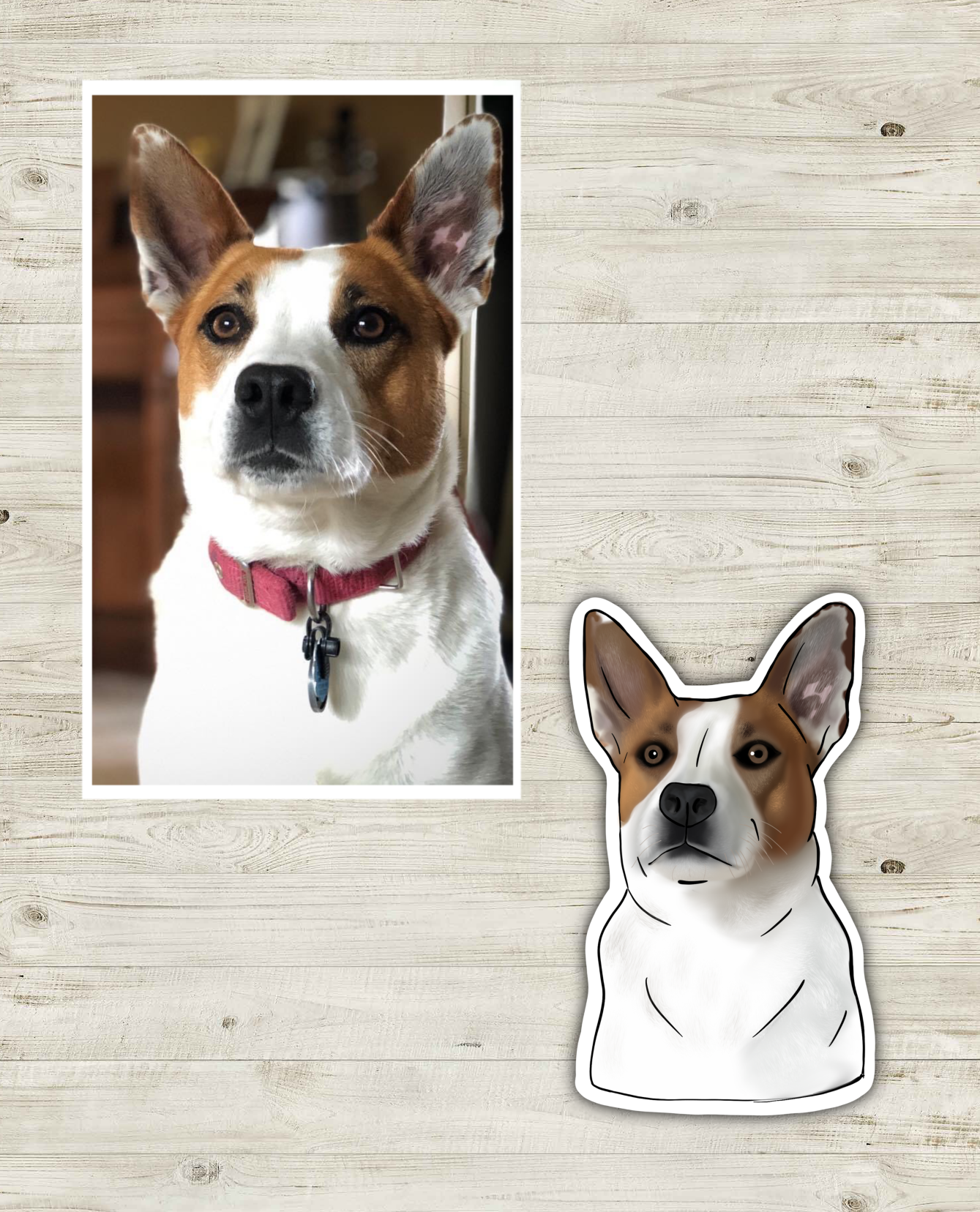 Customized Pet Stickers