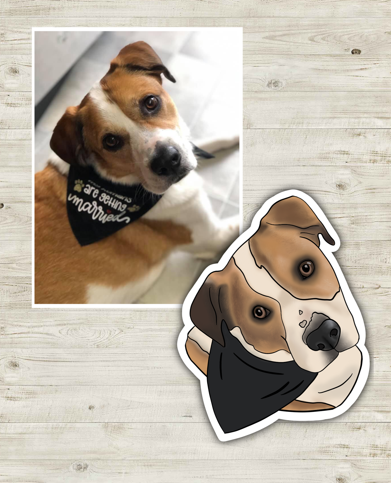 Customized Pet Stickers