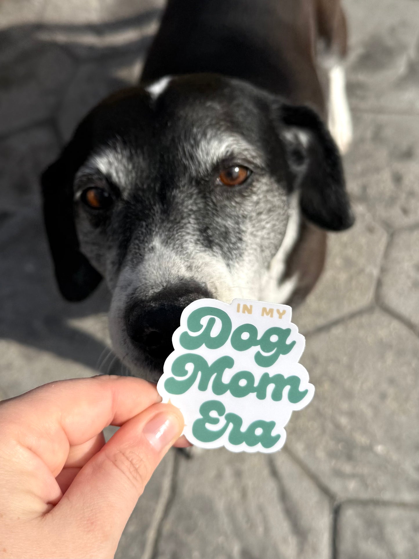 Dog Mom Era Sticker