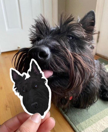 Customized Pet Stickers