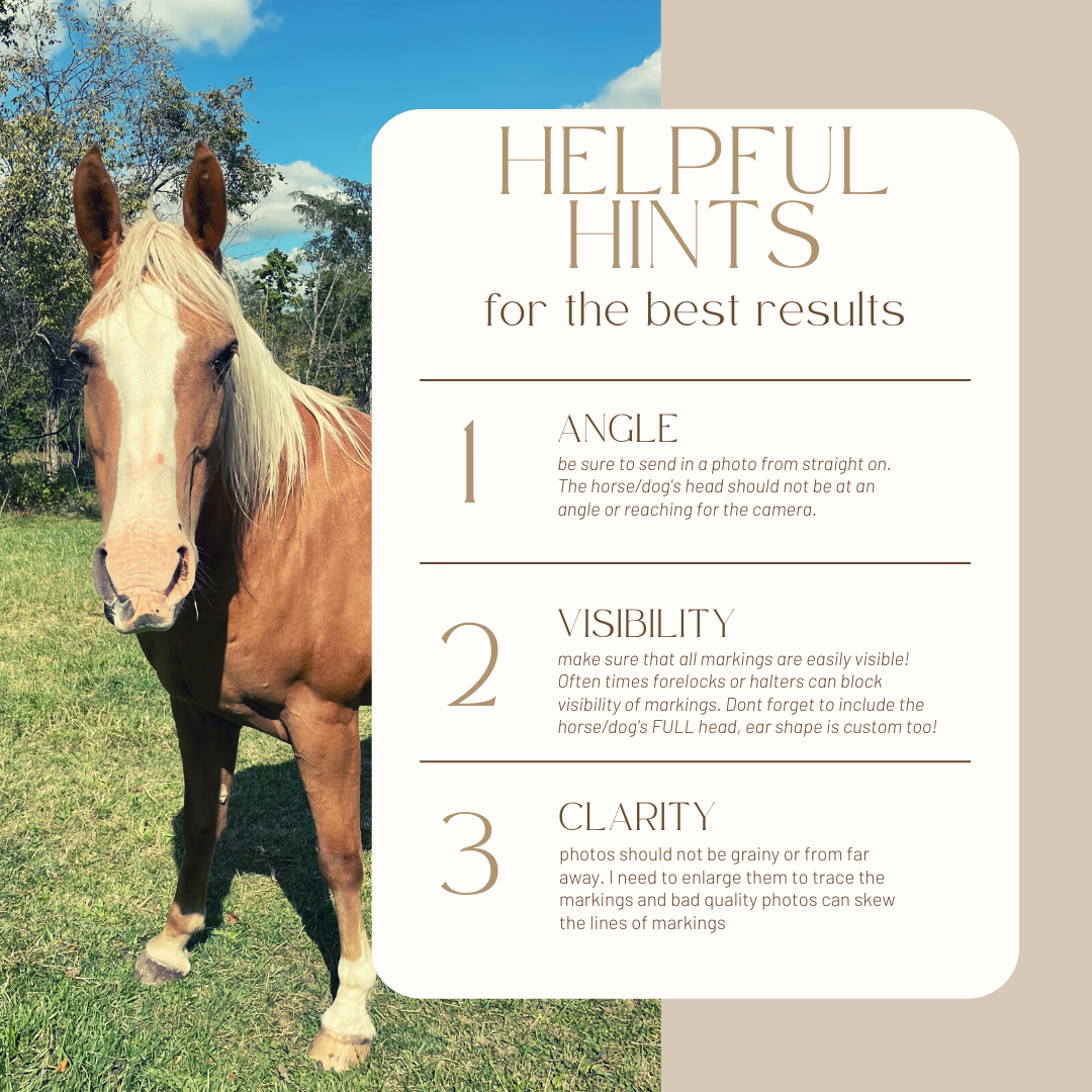 Embroidered Equine Line Art Crewneck