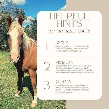 Embroidered Equine Line Art Crewneck